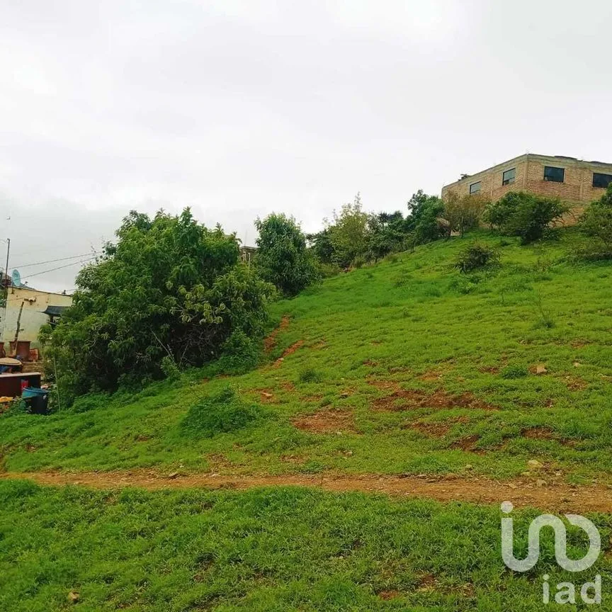 Terreno en Venta en Filtros de Valenciana, Guanajuato, Guanajuato | NEX-277303 | iad México | Foto 4 de 12