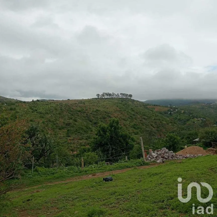 Terreno en Venta en Filtros de Valenciana, Guanajuato, Guanajuato | NEX-277303 | iad México | Foto 5 de 12
