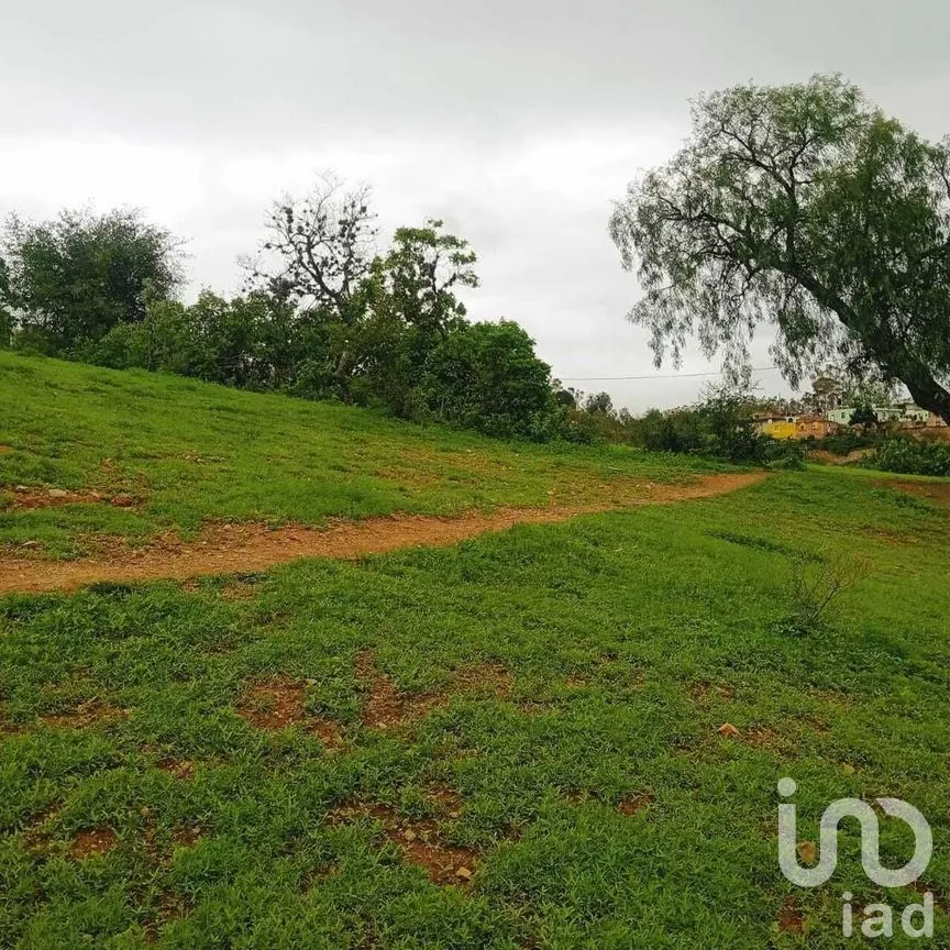 Terreno en Venta en Filtros de Valenciana, Guanajuato, Guanajuato | NEX-277303 | iad México | Foto 6 de 12