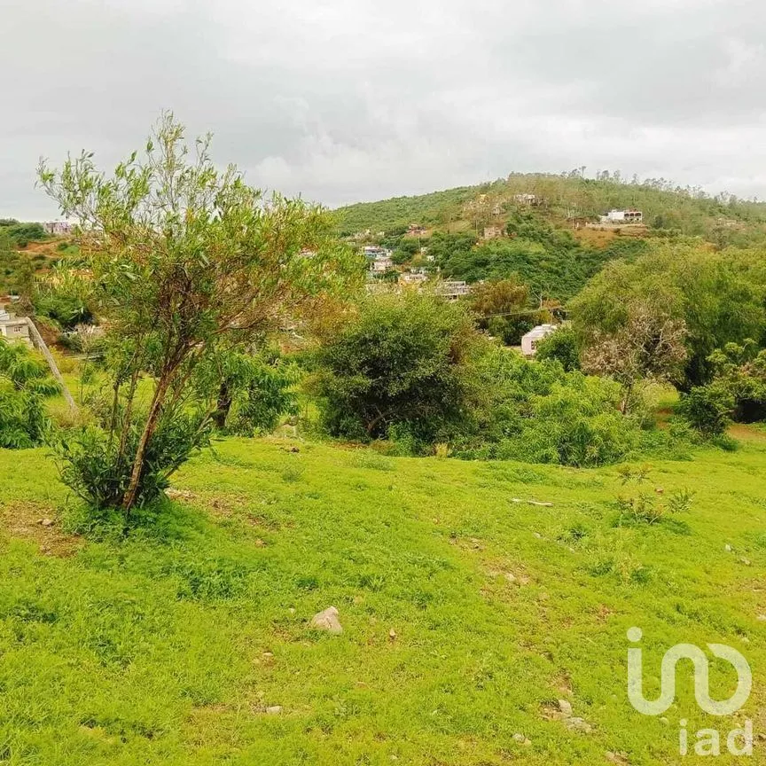 Terreno en Venta en Filtros de Valenciana, Guanajuato, Guanajuato | NEX-277303 | iad México | Foto 8 de 12