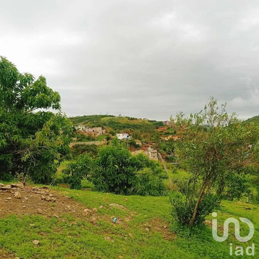 Terreno en Venta en Filtros de Valenciana, Guanajuato, Guanajuato | NEX-277303 | iad México | Foto 10 de 12
