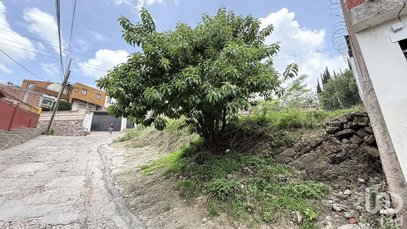 Terreno en Venta en Cerro del Sagrado Corazón, Guanajuato, Guanajuato | NEX-277308 | iad México | Foto 9 de 9