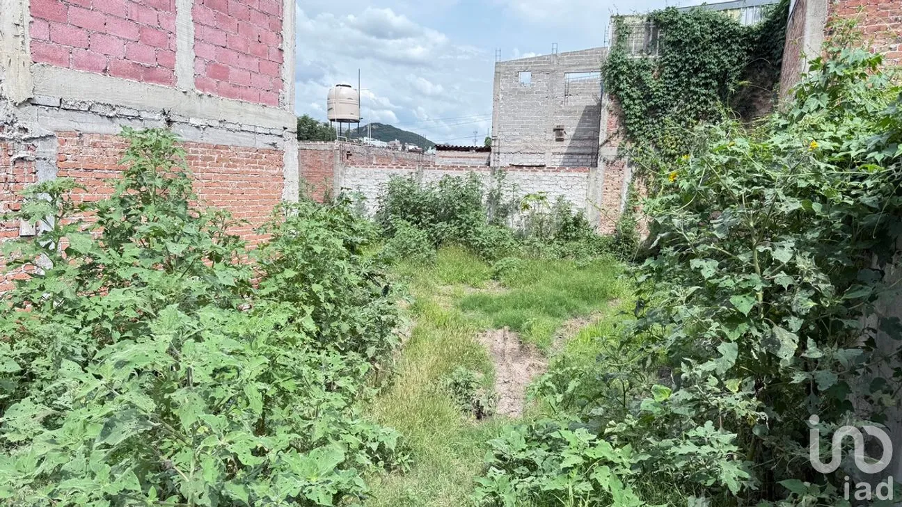 Terreno en Venta en Yerbabuena, Guanajuato, Guanajuato | NEX-277321 | iad México | Foto 6 de 13