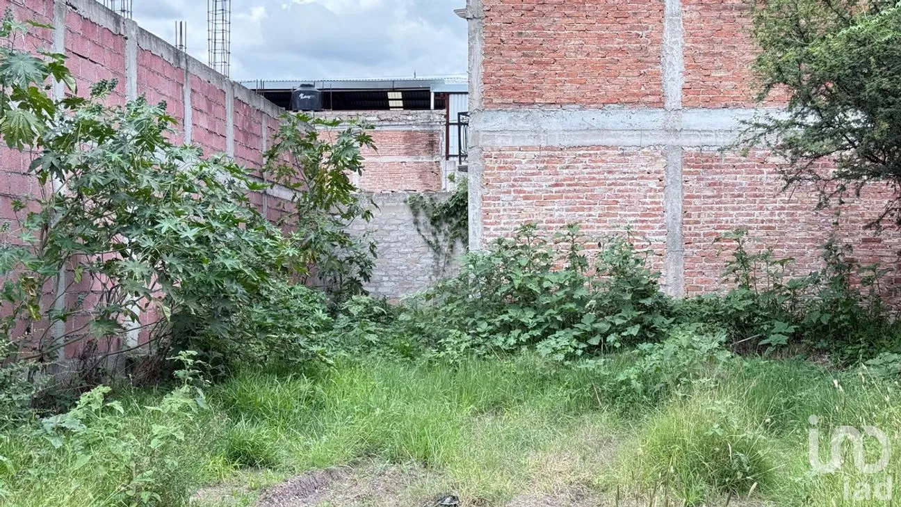 Terreno en Venta en Yerbabuena, Guanajuato, Guanajuato | NEX-277321 | iad México | Foto 9 de 13