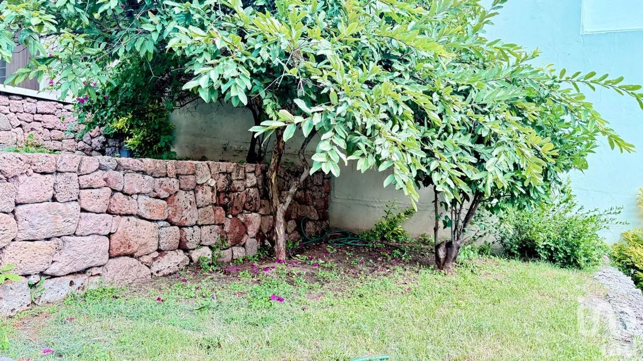 Casa en Renta en Club Campestre, León, Guanajuato | NEX-277323 | iad México | Foto 8 de 31