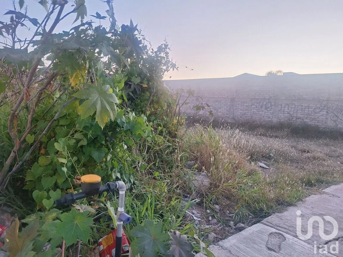 Terreno en Venta en Puentecillas, Guanajuato, Guanajuato | NEX-277328 | iad México | Foto 4 de 5