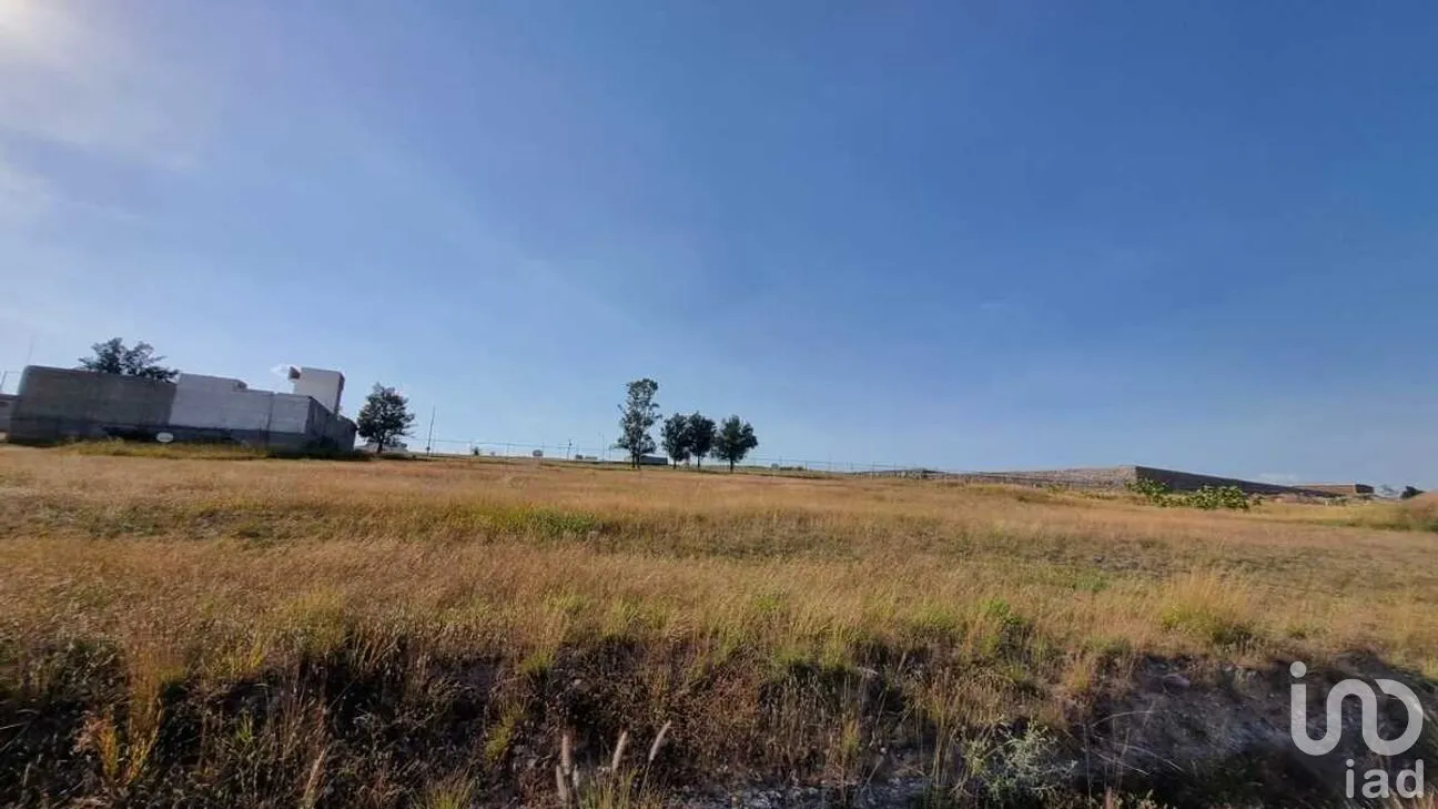 Terreno en Venta en Santa Teresa, Guanajuato, Guanajuato | NEX-277332 | iad México | Foto 4 de 6