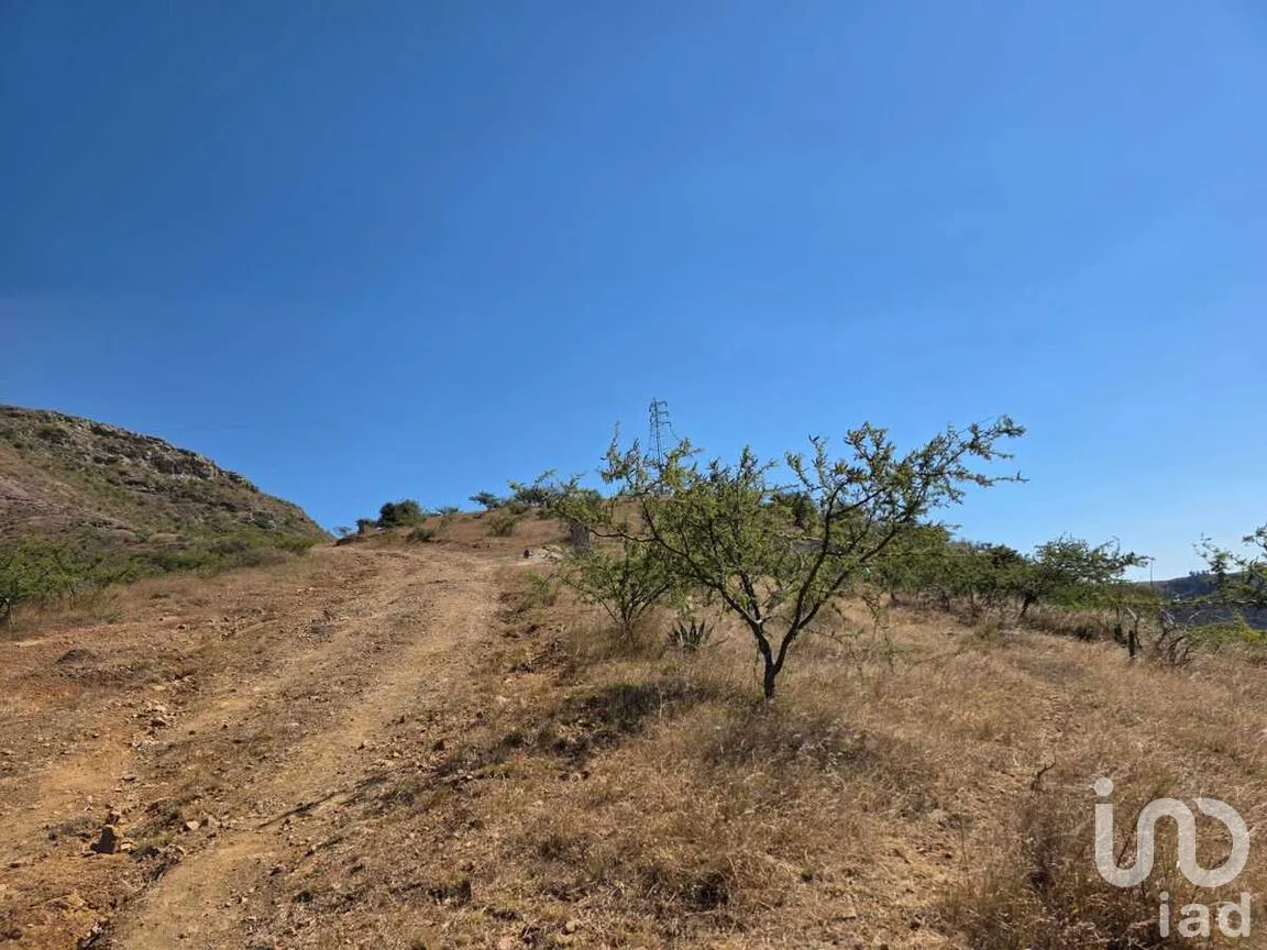 Terreno en Venta en Cerro de Sirena, Guanajuato, Guanajuato | NEX-277336 | iad México | Foto 12 de 12