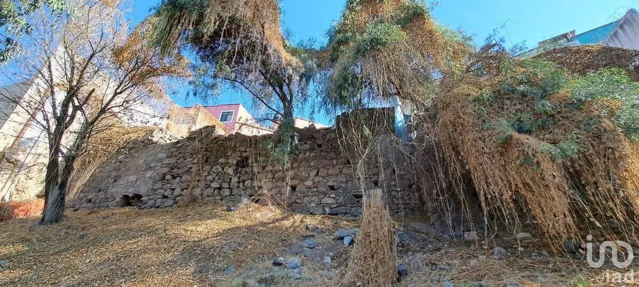 Terreno en Venta en Guanajuato Centro, Guanajuato, Guanajuato | NEX-278186 | iad México | Foto 7 de 9