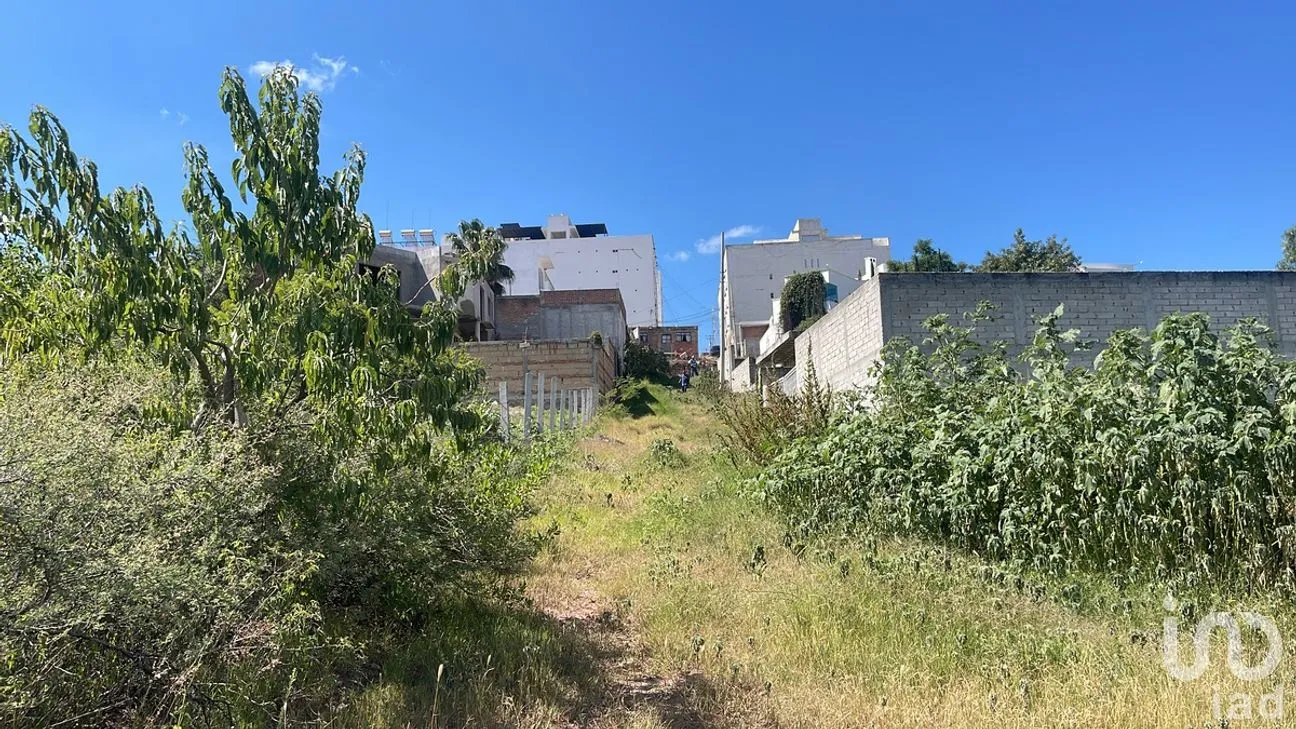 Terreno en Venta en Peñitas, Guanajuato, Guanajuato | NEX-278187 | iad México | Foto 6 de 13