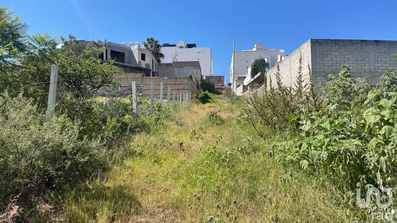 Terreno en Venta en Peñitas, Guanajuato, Guanajuato | NEX-278187 | iad México | Foto 8 de 13