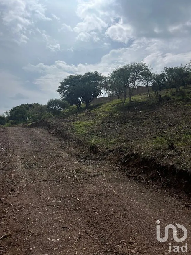 Terreno en Venta en Residencial Marfil, Guanajuato, Guanajuato | NEX-280108 | iad México | Foto 5 de 14