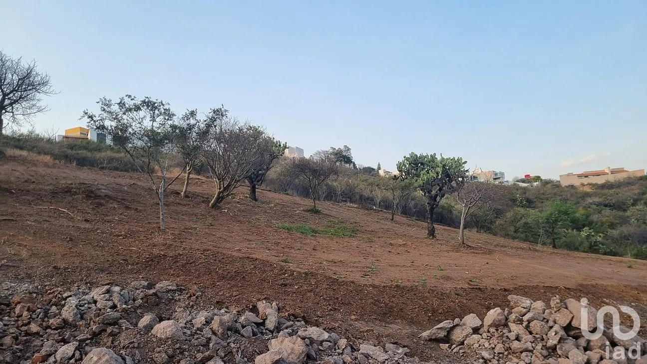 Terreno en Venta en Residencial Marfil, Guanajuato, Guanajuato | NEX-280108 | iad México | Foto 7 de 14