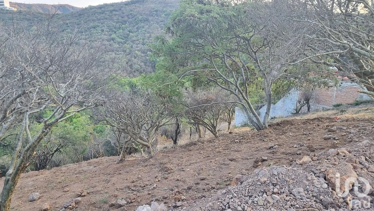 Terreno en Venta en Residencial Marfil, Guanajuato, Guanajuato | NEX-280108 | iad México | Foto 10 de 14