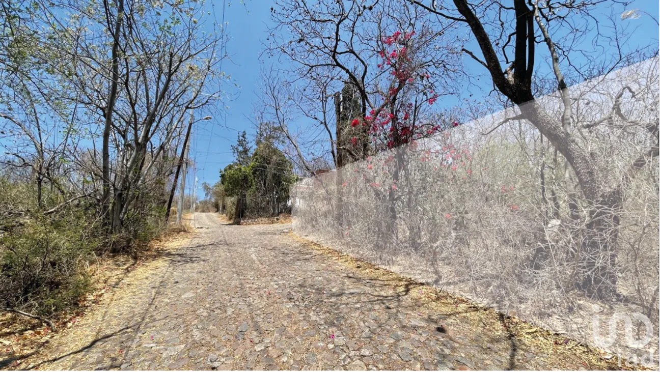 Terreno en Venta en Marfil Centro, Guanajuato, Guanajuato | NEX-280321 | iad México | Foto 2 de 11