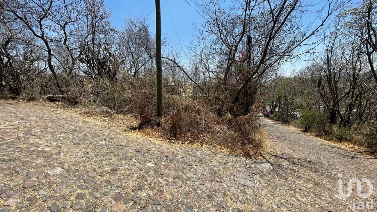 Terreno en Venta en Marfil Centro, Guanajuato, Guanajuato | NEX-280321 | iad México | Foto 3 de 11