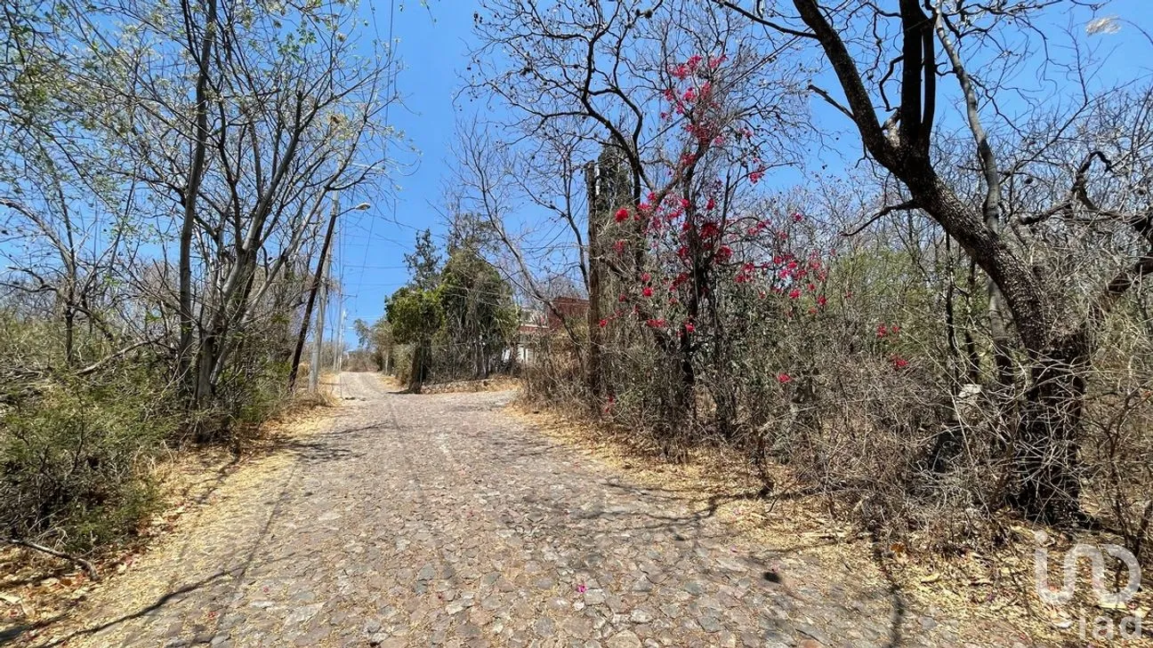Terreno en Venta en Marfil Centro, Guanajuato, Guanajuato | NEX-280321 | iad México | Foto 4 de 11
