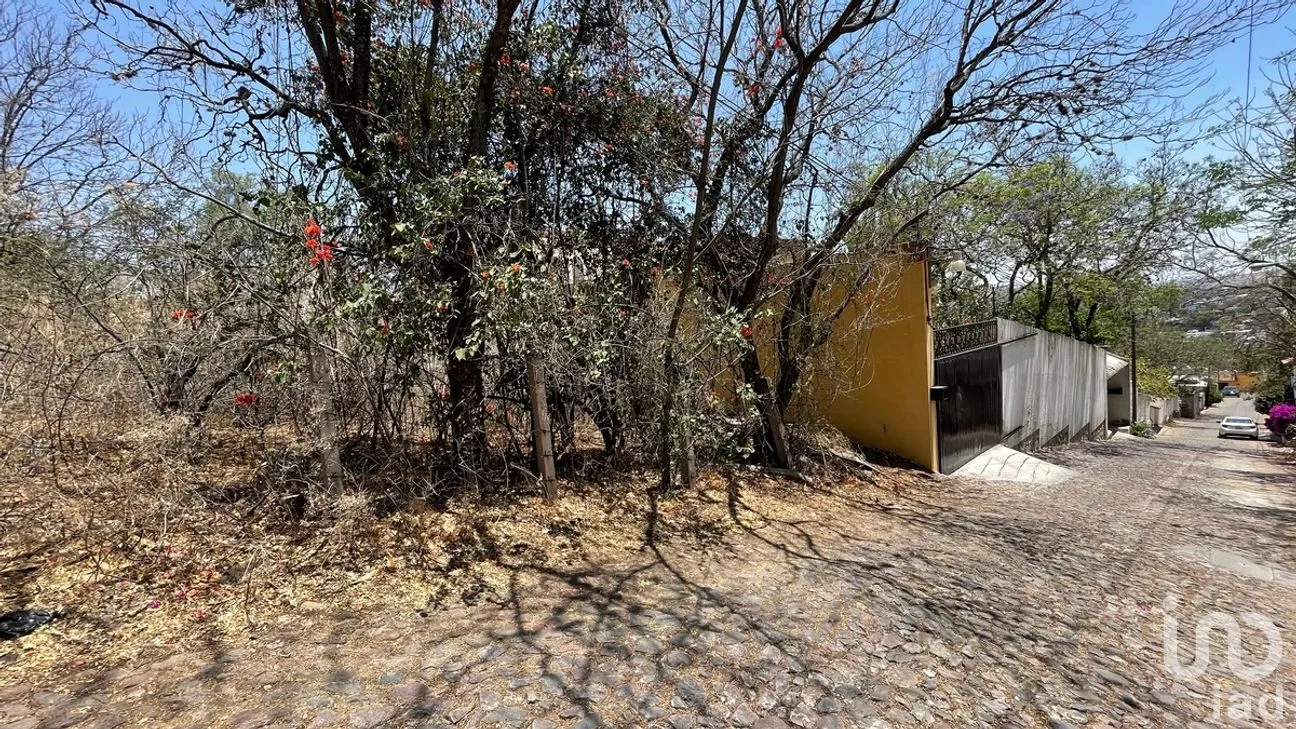 Terreno en Venta en Marfil Centro, Guanajuato, Guanajuato | NEX-280321 | iad México | Foto 6 de 11