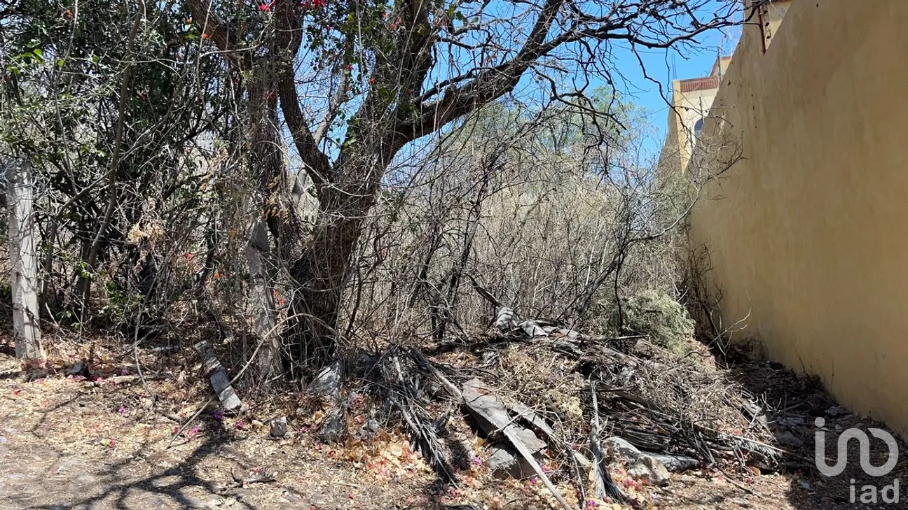 Terreno en Venta en Marfil Centro, Guanajuato, Guanajuato | NEX-280321 | iad México | Foto 8 de 11
