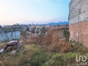 NEX-283132 - Terreno en Venta en Santa Teresa, CP 36260, Guanajuato.