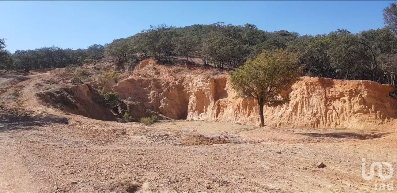Terreno en Venta en Santa Rosa de Lima, Guanajuato, Guanajuato | NEX-284277 | iad México | Foto 2 de 6