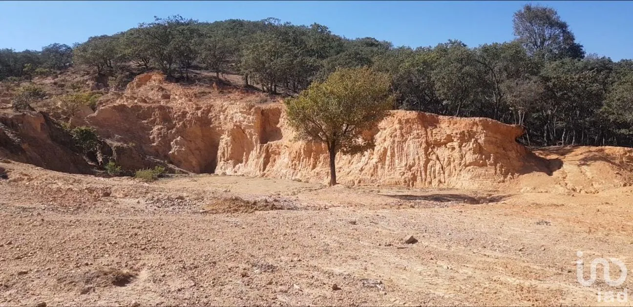 Terreno en Venta en Santa Rosa de Lima, Guanajuato, Guanajuato | NEX-284277 | iad México | Foto 6 de 6