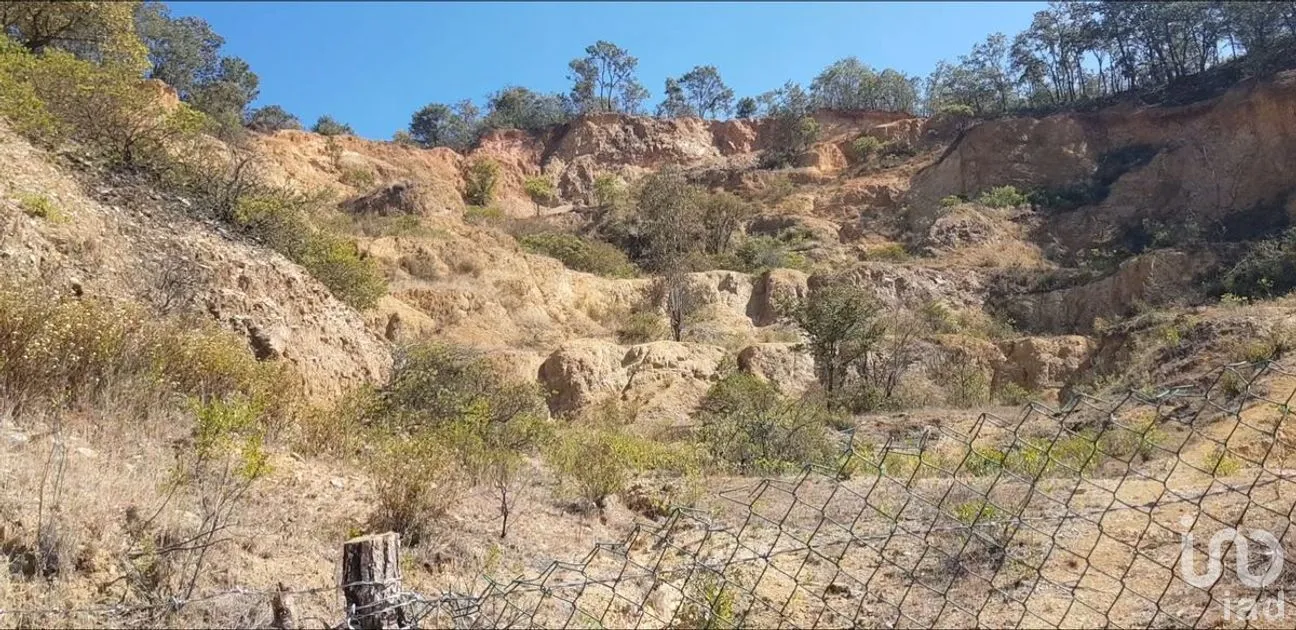 Terreno en Venta en Santa Rosa de Lima, Guanajuato, Guanajuato | NEX-284278 | iad México | Foto 3 de 8