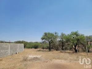 NEX-284304 - Terreno en Venta en Paso de Pirules, CP 36263, Guanajuato.