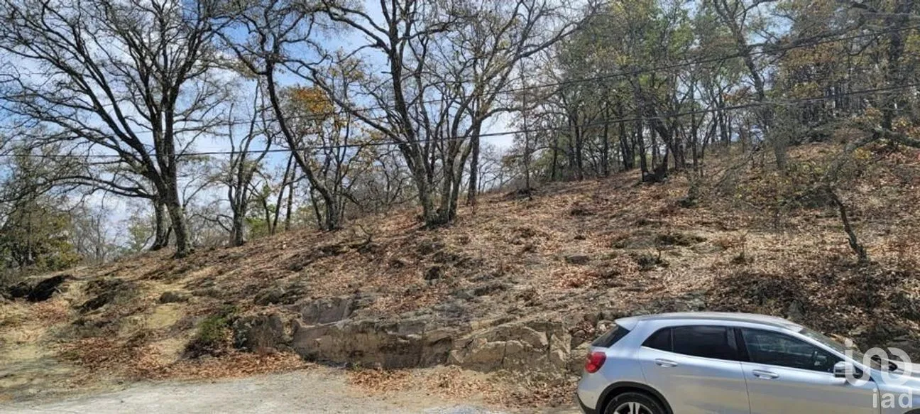 Terreno en Venta en Puerto de Santa Rosa, Guanajuato, Guanajuato | NEX-284305 | iad México | Foto 3 de 8