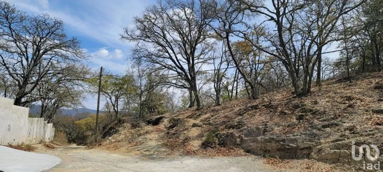Terreno en Venta en Puerto de Santa Rosa, Guanajuato, Guanajuato | NEX-284305 | iad México | Foto 4 de 8