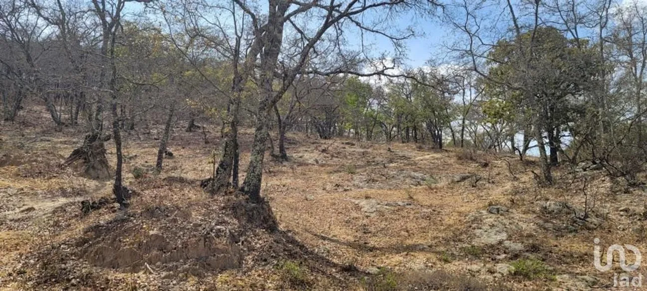 Terreno en Venta en Puerto de Santa Rosa, Guanajuato, Guanajuato | NEX-284305 | iad México | Foto 6 de 8
