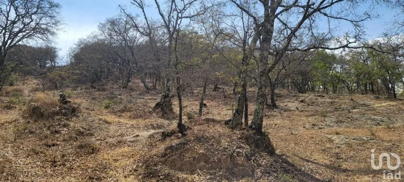 Terreno en Venta en Puerto de Santa Rosa, Guanajuato, Guanajuato | NEX-284305 | iad México | Foto 8 de 8