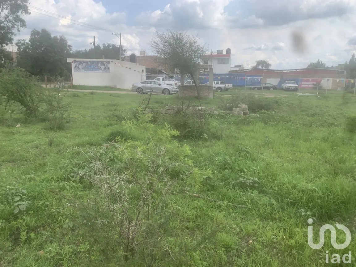Terreno en Venta en Santa Teresa, Guanajuato, Guanajuato | NEX-284320 | iad México | Foto 3 de 6