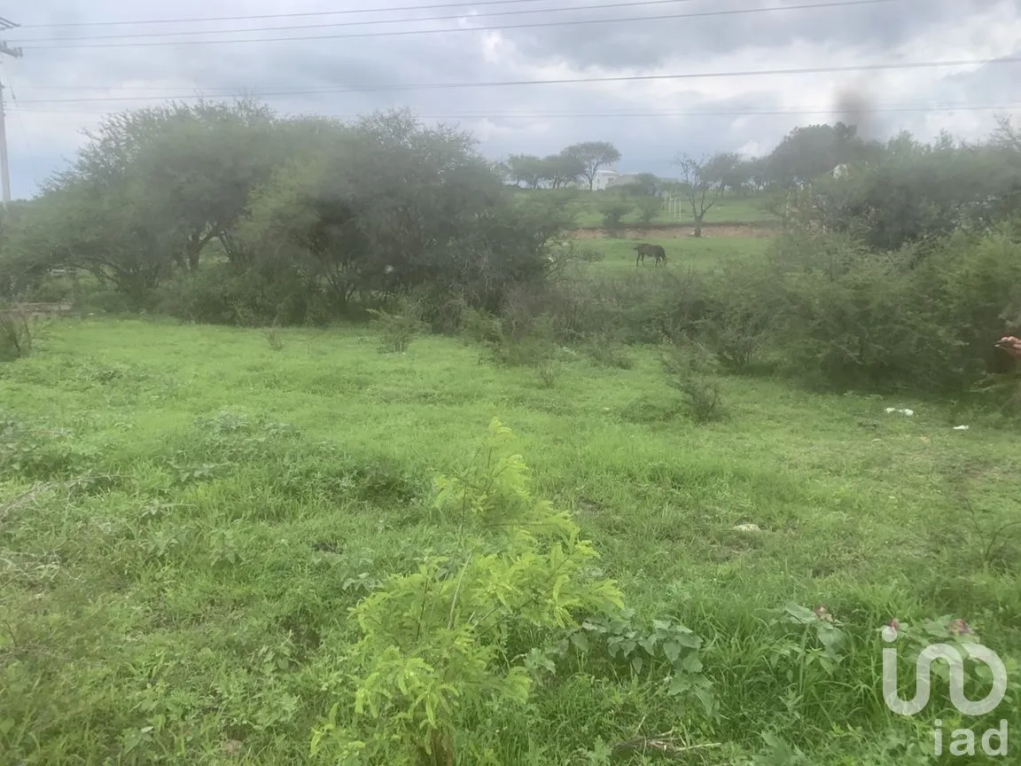 Terreno en Venta en Santa Teresa, Guanajuato, Guanajuato | NEX-284320 | iad México | Foto 4 de 6