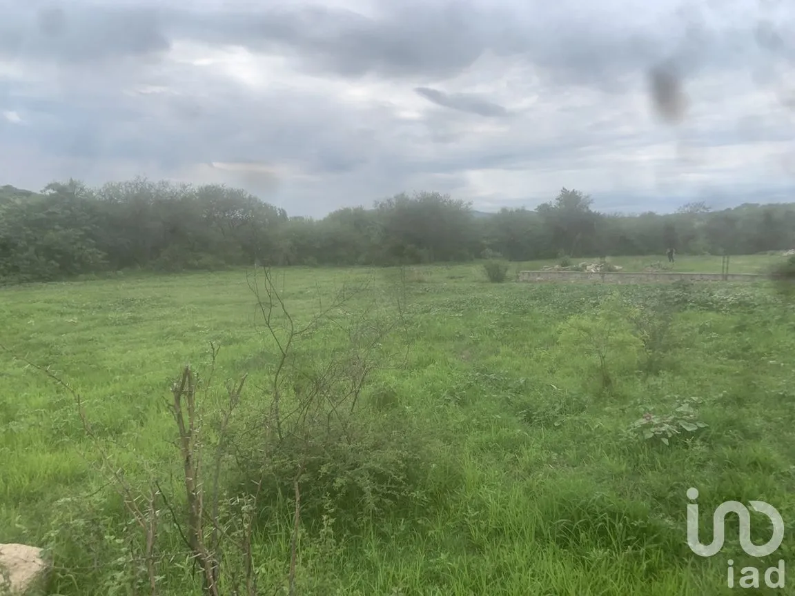 Terreno en Venta en Santa Teresa, Guanajuato, Guanajuato | NEX-284320 | iad México | Foto 5 de 6