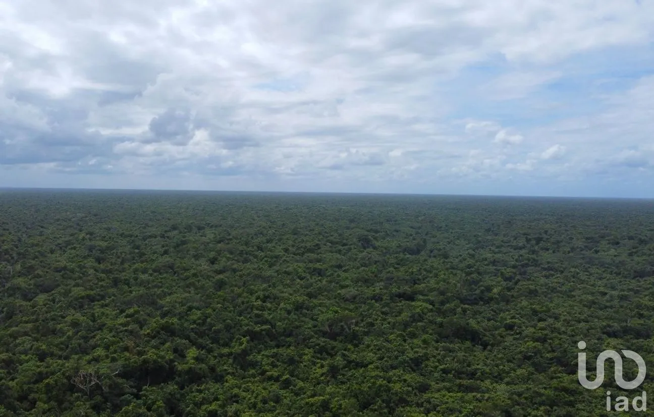 Terreno en Venta en Puerto Morelos, Puerto Morelos, Quintana Roo | NEX-284324 | iad México | Foto 2 de 31