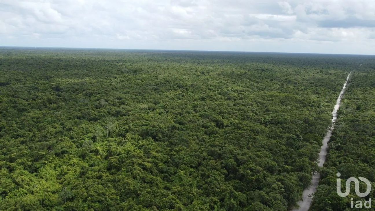 Terreno en Venta en Puerto Morelos, Puerto Morelos, Quintana Roo | NEX-284324 | iad México | Foto 14 de 31