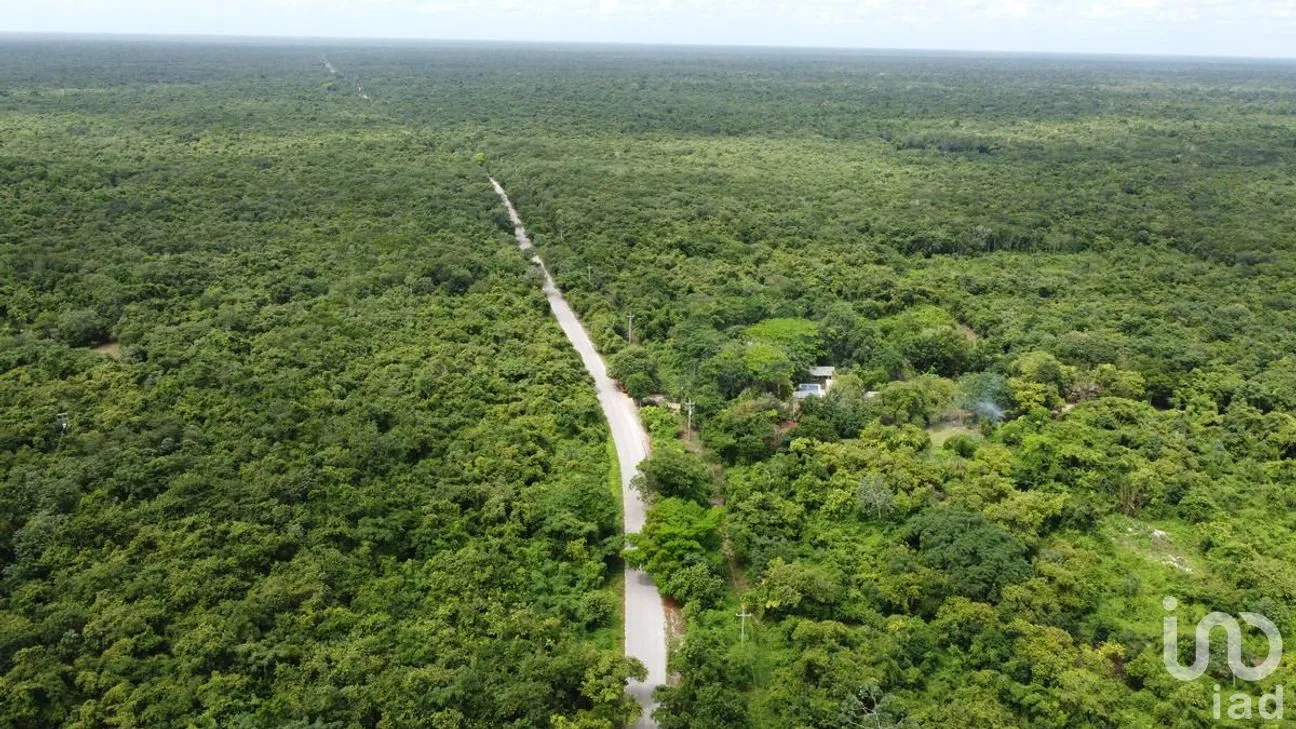 Terreno en Venta en Puerto Morelos, Puerto Morelos, Quintana Roo | NEX-284324 | iad México | Foto 15 de 31