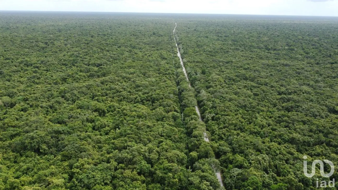 Terreno en Venta en Puerto Morelos, Puerto Morelos, Quintana Roo | NEX-284324 | iad México | Foto 16 de 31