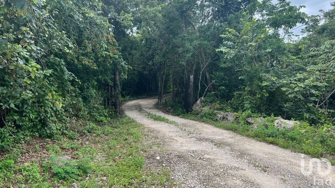 Terreno en Venta en Puerto Morelos, Puerto Morelos, Quintana Roo | NEX-284324 | iad México | Foto 17 de 31