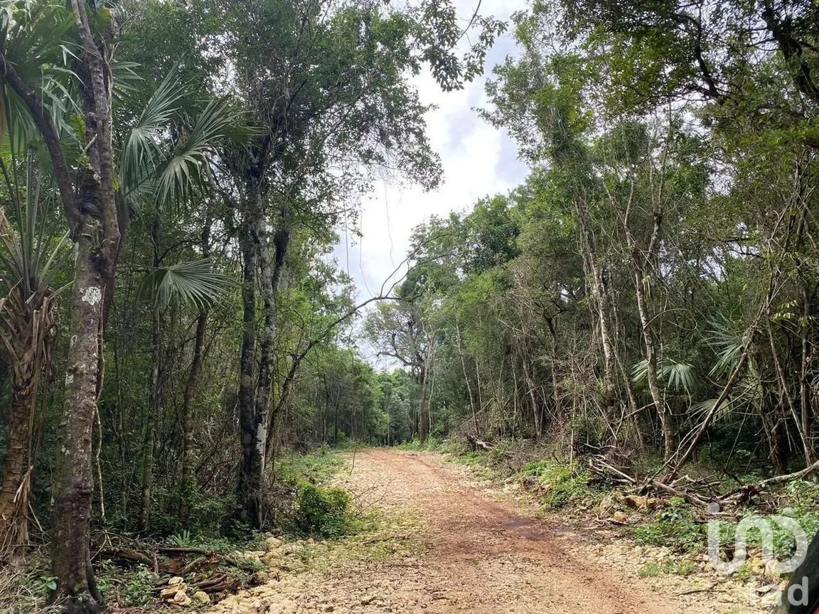 Terreno en Venta en Puerto Morelos, Puerto Morelos, Quintana Roo | NEX-284324 | iad México | Foto 18 de 31