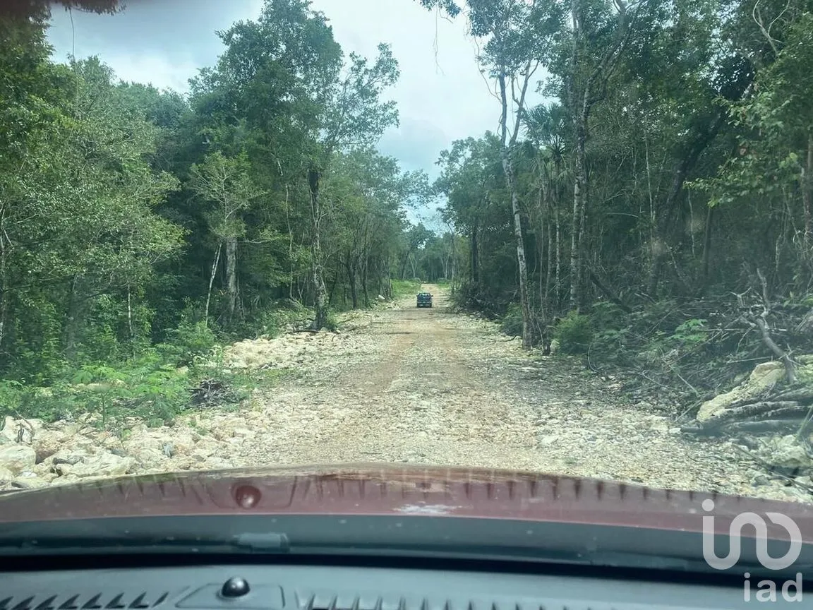 Terreno en Venta en Puerto Morelos, Puerto Morelos, Quintana Roo | NEX-284324 | iad México | Foto 19 de 31