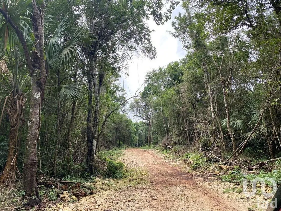 Terreno en Venta en Puerto Morelos, Puerto Morelos, Quintana Roo | NEX-284324 | iad México | Foto 20 de 31