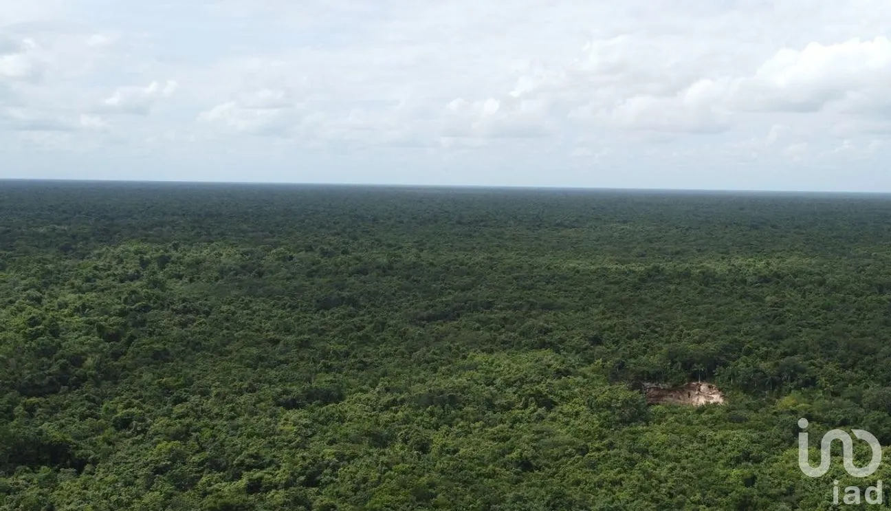 Terreno en Venta en Puerto Morelos, Puerto Morelos, Quintana Roo | NEX-284324 | iad México | Foto 3 de 31