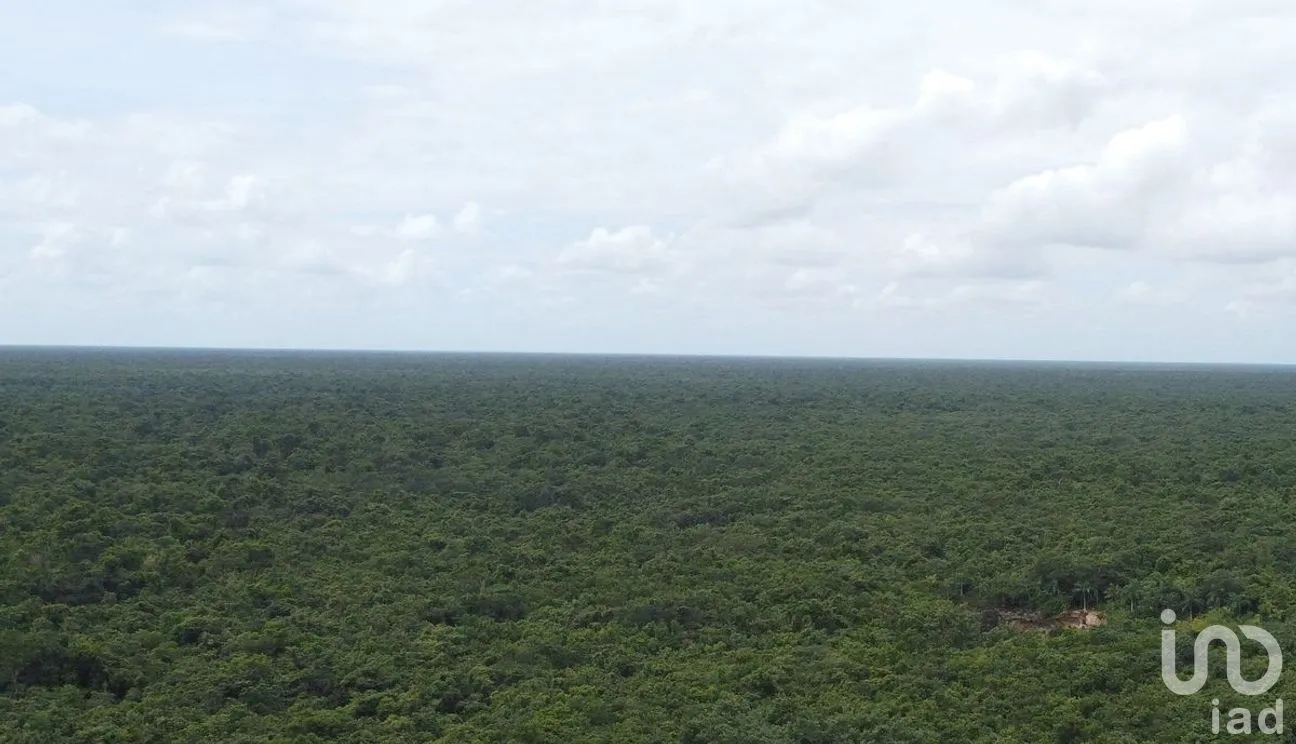 Terreno en Venta en Puerto Morelos, Puerto Morelos, Quintana Roo | NEX-284324 | iad México | Foto 21 de 31