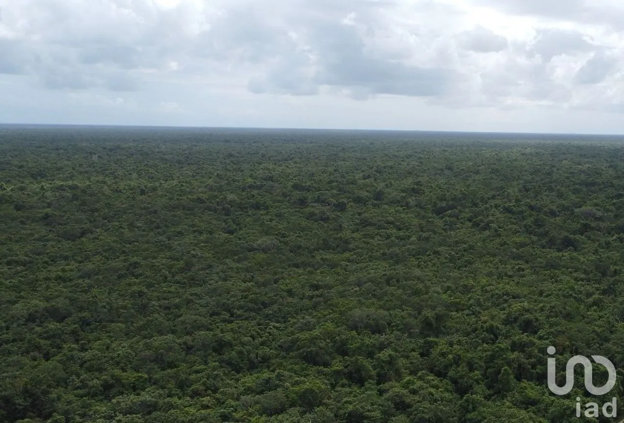 Terreno en Venta en Puerto Morelos, Puerto Morelos, Quintana Roo | NEX-284324 | iad México | Foto 22 de 31