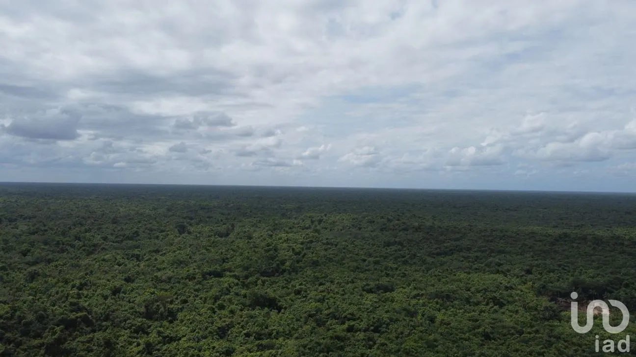 Terreno en Venta en Puerto Morelos, Puerto Morelos, Quintana Roo | NEX-284324 | iad México | Foto 23 de 31