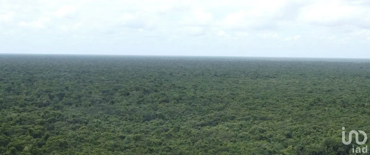 Terreno en Venta en Puerto Morelos, Puerto Morelos, Quintana Roo | NEX-284324 | iad México | Foto 25 de 31