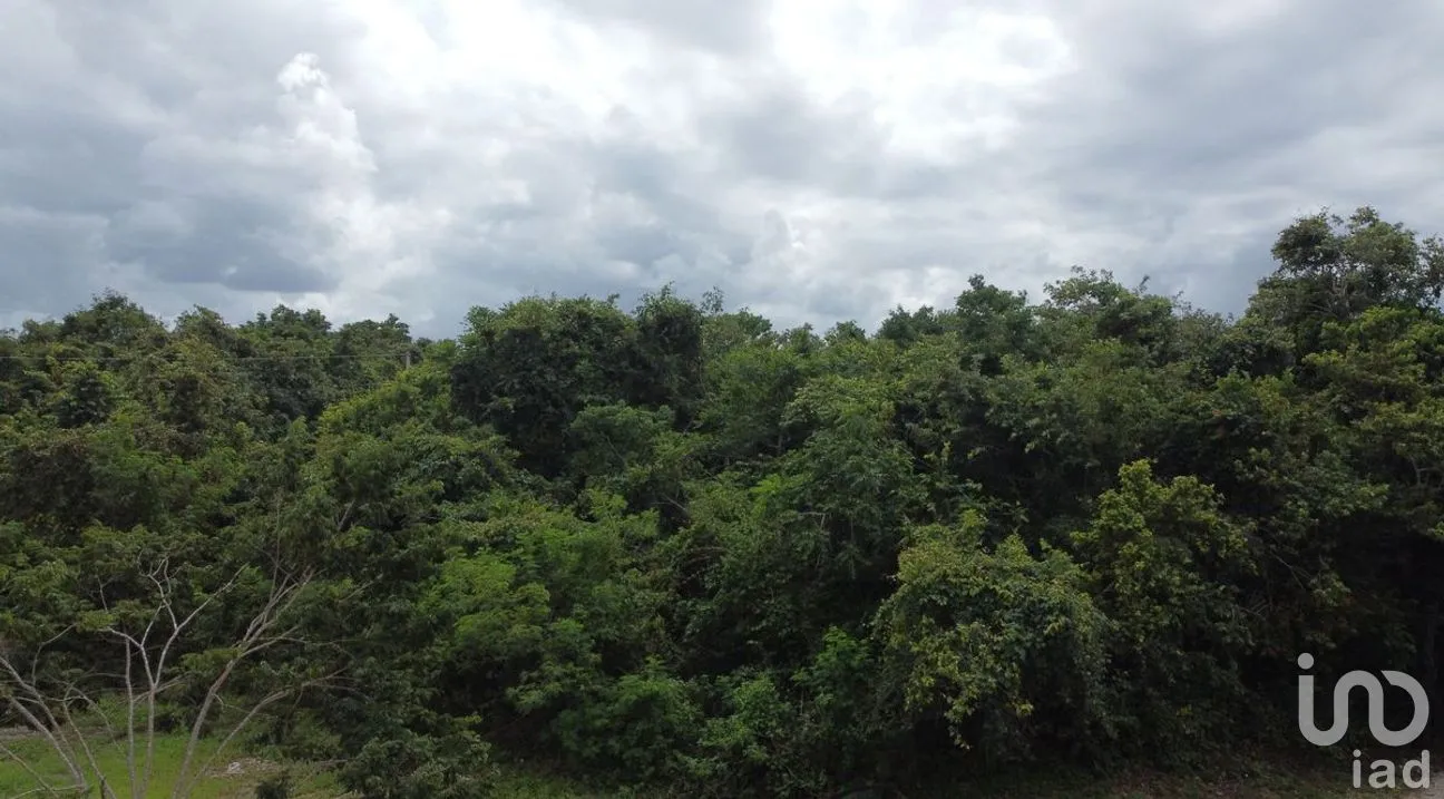 Terreno en Venta en Puerto Morelos, Puerto Morelos, Quintana Roo | NEX-284324 | iad México | Foto 26 de 31