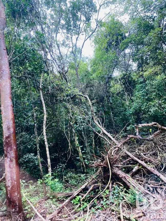 Terreno en Venta en Puerto Morelos, Puerto Morelos, Quintana Roo | NEX-284324 | iad México | Foto 28 de 31